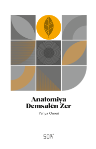 Anatomiya Dêmsalen Zer