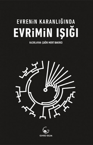 Evrenin Karanlığında Evrimin Işığı